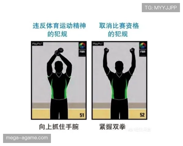 为什么“挑战判罚”可以改变比赛结果？裁判最新规则解读